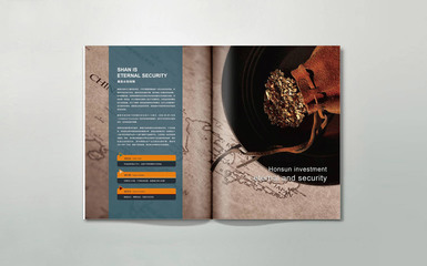 厚善投資品牌全案策劃/設計 - 宣傳畫冊設計 - 海右博納-|濟南標志設計|濟南畫冊設計|濟南VI設計|濟南包裝設計|濟南品牌設計